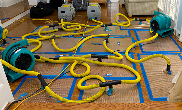 Professional Storm Water Damage Restoration technician working in Deersville, OH